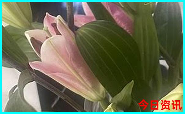 赣州夏天有什么好玩的地方